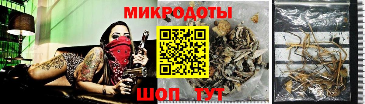 Галлюциногенные грибы мицелий Гай