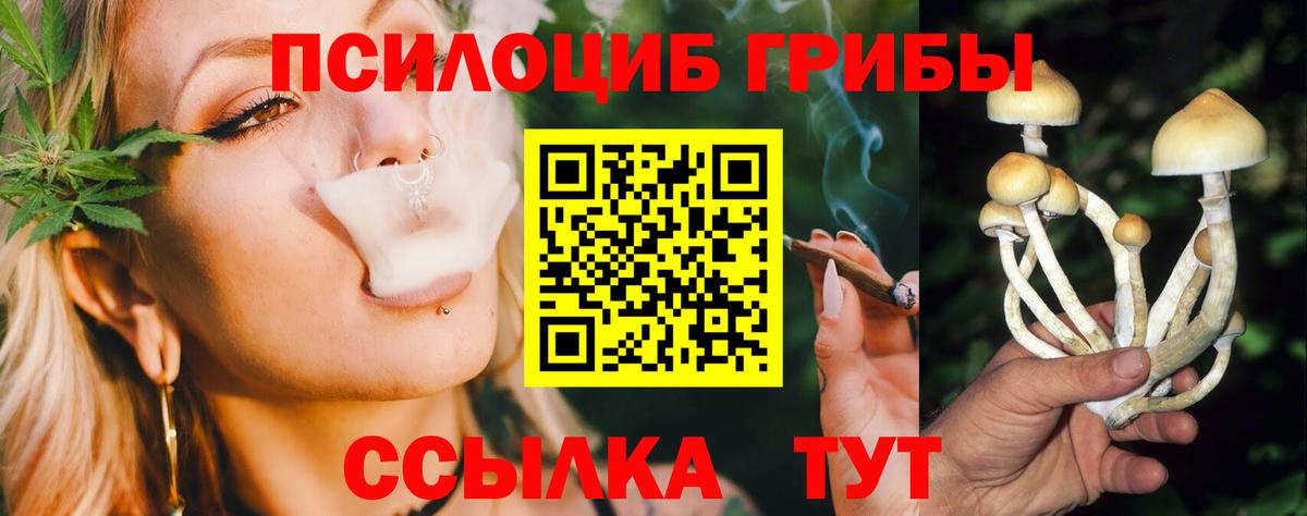 Псилоцибиновые грибы прущие грибы  Вход с VPN  Гай 