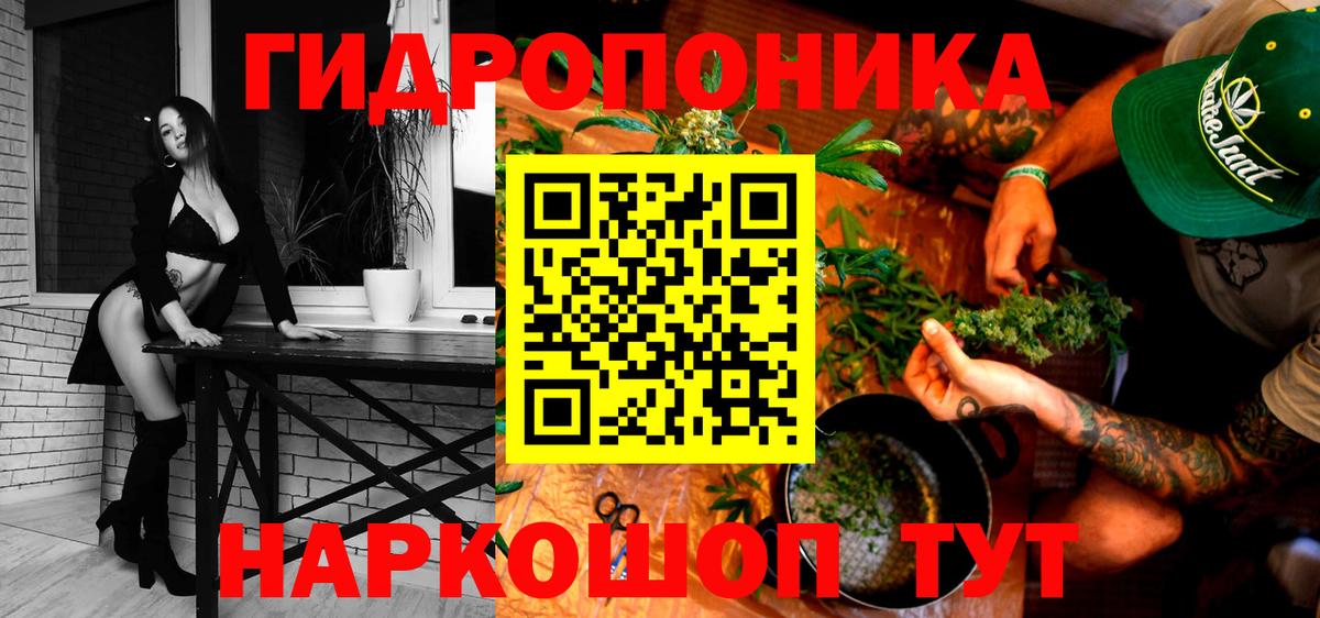 Каннабис Amnesia Гай